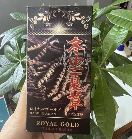 Đông trùng hạ thảo Royal Gold Nhật Bản có tốt không?-2
